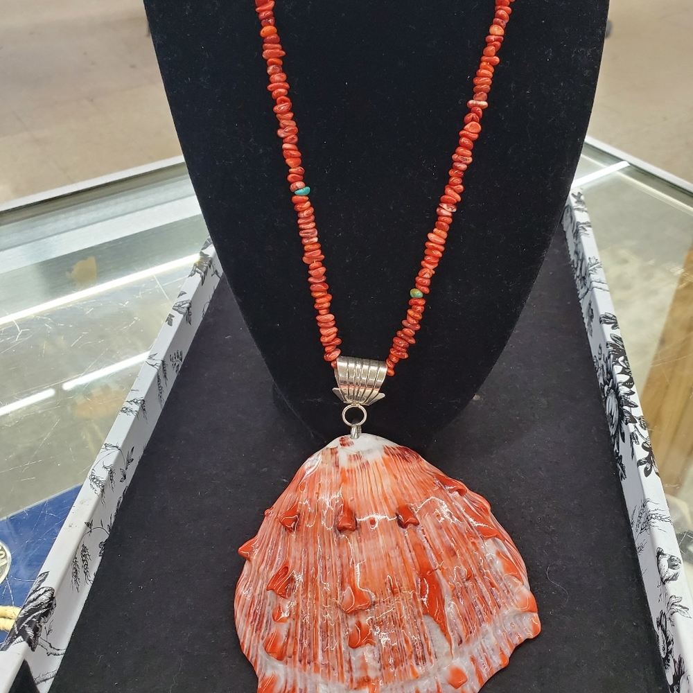 Beautiful spiny oyster shell